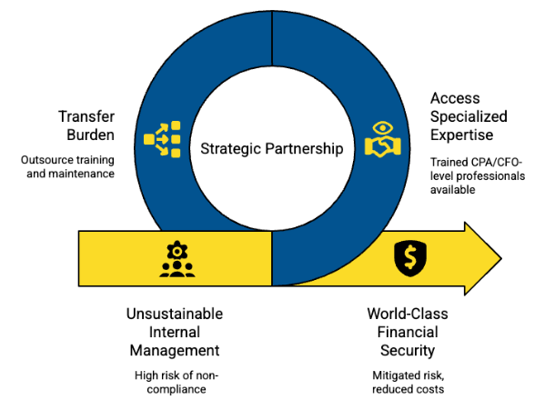 The Accounting Function Decision: Risk Profile and Expertise